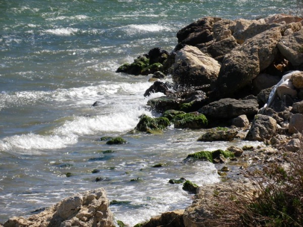 Photo Martigues - Martigues et les bords de l'étang de Berre