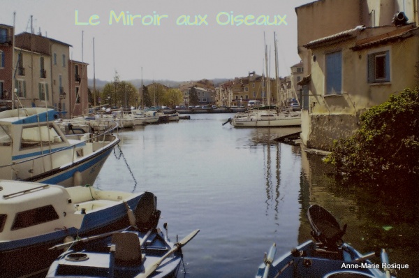 Photo Martigues - Le Miroir aux oiseaux