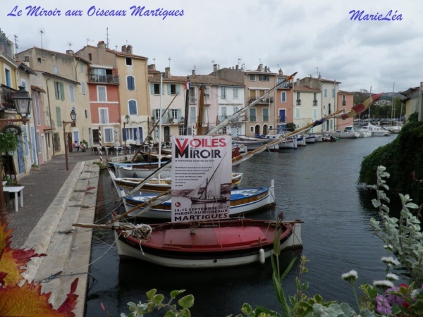 Photo Martigues - Le miroir aux oiseaux