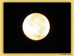 Photo paysage et monuments, Martigues - Pleine lune