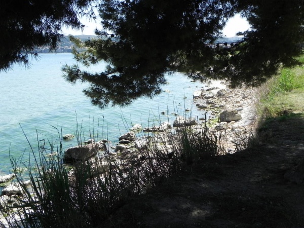 Photo Martigues - Bordure de l'étang de Berre au parc de Ferrières