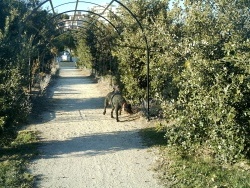 Photo paysage et monuments, Martigues - Parc de la Rode