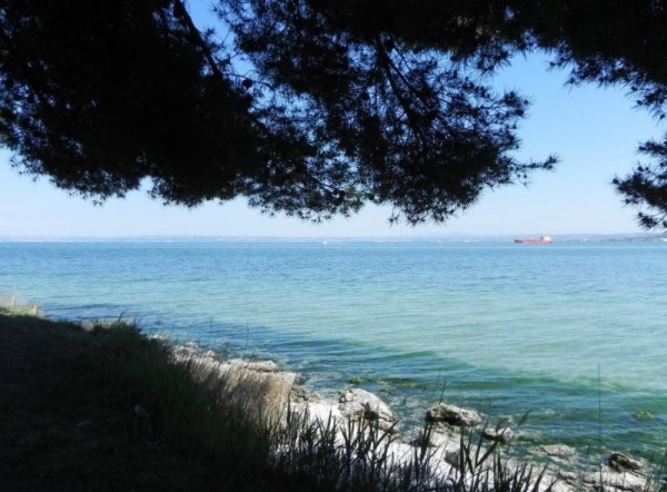 Photo Martigues - Vue sur l'Etang de Berre