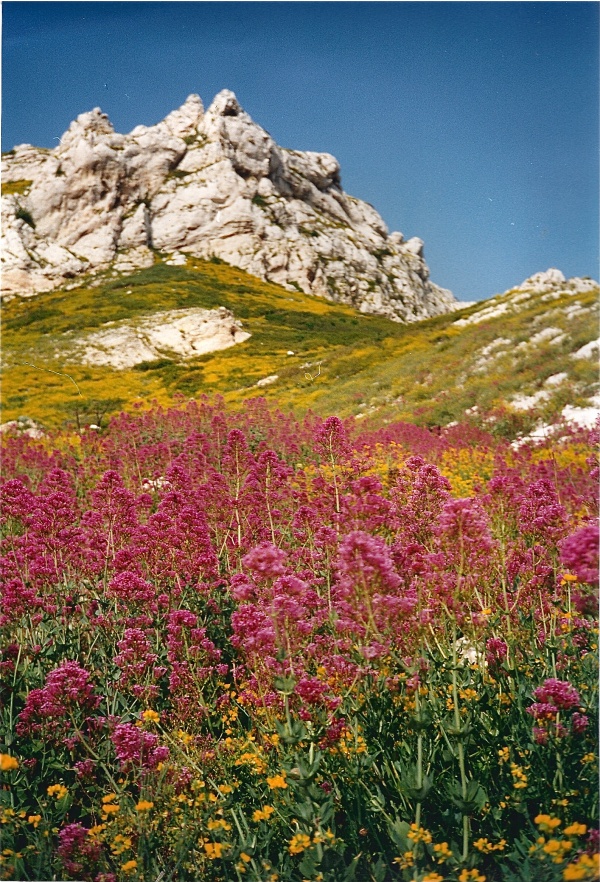 Photo Le Rove - Toutes les couleurs de "mes collines".