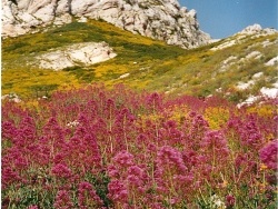 Photo paysage et monuments, Le Rove - Toutes les couleurs de "mes collines".