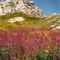 Photo Le Rove - Toutes les couleurs de "mes collines".