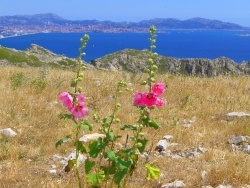 Photo paysage et monuments, Le Rove - Jolie rencontre