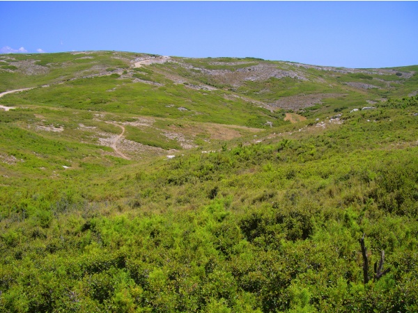 Photo Le Rove - Les collines du Rove