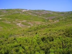 Photo paysage et monuments, Le Rove - Les collines du Rove