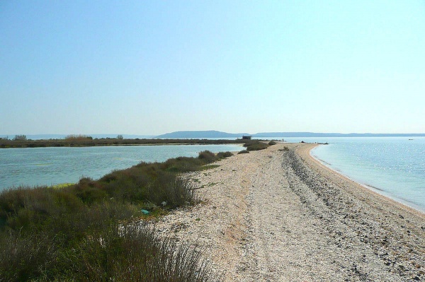 Photo Saint-Chamas - Fragile équilibre en Petite Camargue