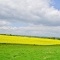 Photo Amayé-sur-Seulles - paysage