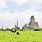 Photo Amayé-sur-Seulles - paysage