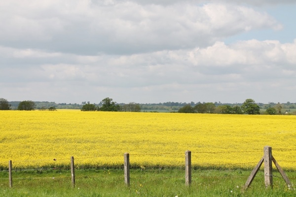 Photo Amayé-sur-Seulles - paysage