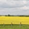 Photo Amayé-sur-Seulles - paysage