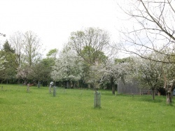 Photo paysage et monuments, Blay - la campagne