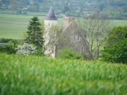 Photo paysage et monuments, Monfréville - le village