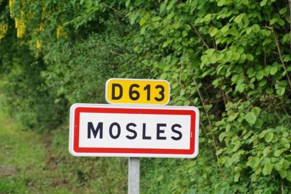Photo Mosles - mosles (14400)