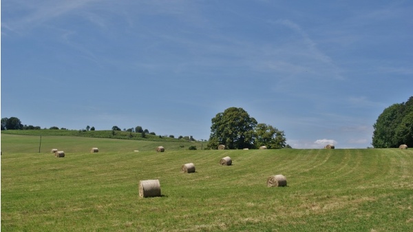 Photo Marmanhac - la commune