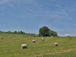 Photo paysage et monuments, Marmanhac - la commune