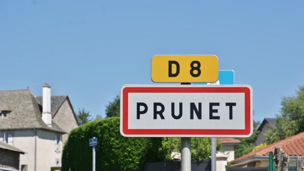 Photo Prunet - prunet (15130)
