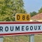 Photo Roumégoux - roumegoux (15290)