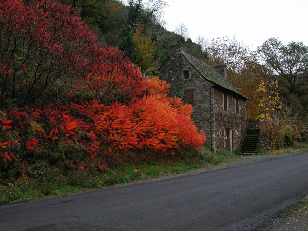 Photo Vieillevie - Maison du bord du Lot en automne.