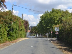 Photo paysage et monuments, Ardillières - la commune