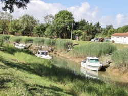 Photo paysage et monuments, Barzan - la nature