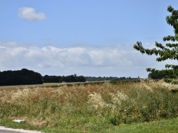 Photo paysage et monuments, Champagnolles - le champs