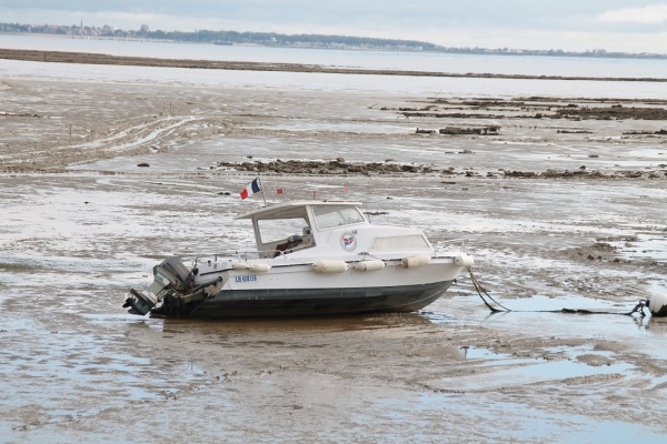 Photo Châtelaillon-Plage - la mer