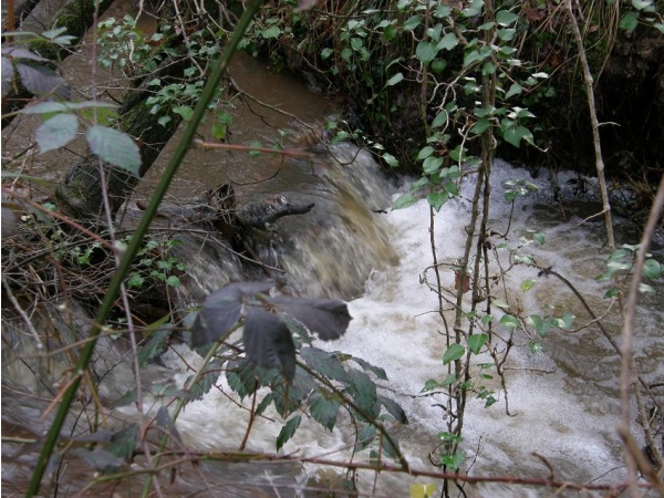 Photo Chevanceaux - le Lary