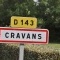 cravans (17260)