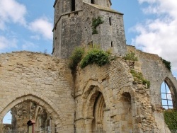 Photo paysage et monuments, Marans - Ruines de l'église St Etienne