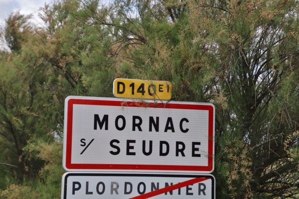 Photo Mornac-sur-Seudre - Mornac sur Seudre (17113)