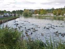 Photo paysage et monuments, Saint-Jean-d'Angély - la rivière