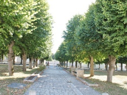 Photo paysage et monuments, Saint-Rogatien - le village