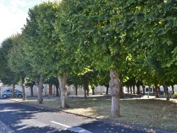 Photo paysage et monuments, Saint-Rogatien - le village