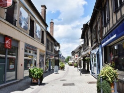 Photo paysage et monuments, Aubigny-sur-Nère - le Village