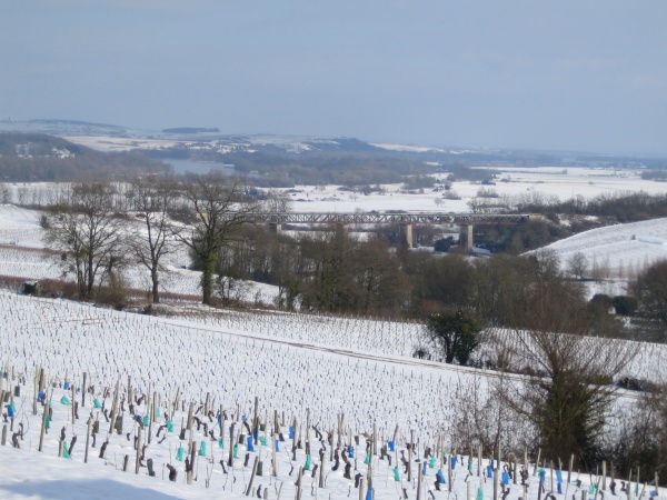 Photo Thauvenay - MENETREOL VUE SUR LA LOIRE