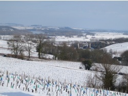 Photo paysage et monuments, Thauvenay - MENETREOL VUE SUR LA LOIRE