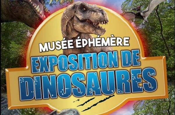 Visuel Musée Ephémère