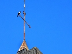 Photo paysage et monuments, Billey - Billey.21-Le coq et la pie.