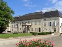 Photo paysage et monuments, Brazey-en-Plaine - Brazey-en-Plaine.21.;Le Château Dumesnil.
