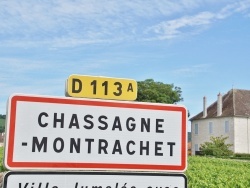 Photo paysage et monuments, Chassagne-Montrachet - chassagne montrachet (21190)