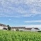 Photo Chassagne-Montrachet - le village