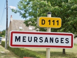 Photo paysage et monuments, Meursanges - meursanges (21200)