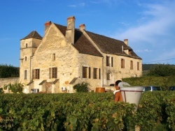 Photo paysage et monuments, Meursault - Chateau de la Velle en Meursault