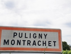 Photo paysage et monuments, Puligny-Montrachet - puligny monrachet (21190)