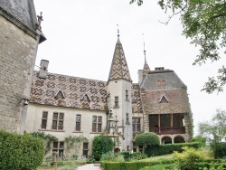 Photo paysage et monuments, La Rochepot - le château la rochepot