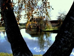 Photo paysage et monuments, Sainte-Marie-la-Blanche - Sainte Marie la Blanche.2